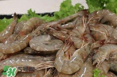 如何挑選新鮮的蝦？買蝦時候怎么挑選