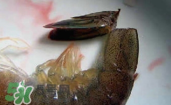 油燜大蝦怎么洗？油燜大蝦怎么清洗