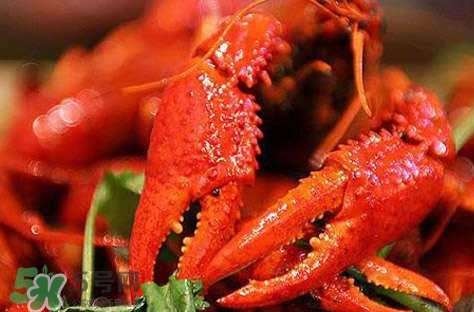 蝦子有什么營養(yǎng)？蝦子有什么營養(yǎng)價值