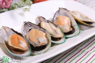 青口貝能生吃嗎？青口貝能多吃嗎