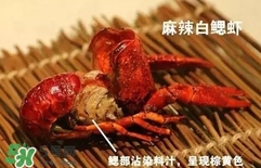 蝦子怎么吃？蝦子的吃法