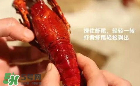 蝦子怎么吃？蝦子的吃法