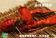 蝦子怎么吃？蝦子的吃法