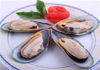 青口貝能生吃嗎？青口貝能多吃嗎
