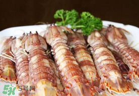 蝦爬子是寒性的嗎？蝦爬子是熱性的還是寒性的？