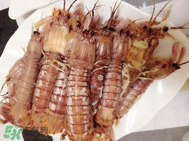 蝦爬子是皮皮蝦嗎？皮皮蝦和蝦爬子的區(qū)別