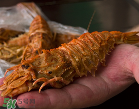 蝦爬子是皮皮蝦嗎？皮皮蝦和蝦爬子的區(qū)別