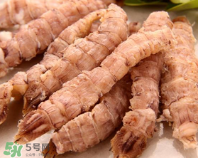 蝦爬子是皮皮蝦嗎？皮皮蝦和蝦爬子的區(qū)別