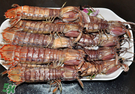 蝦爬子可以煮嗎？蝦爬子怎么煮？