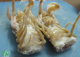 蝦爬子怎么分公母？蝦爬子公母區(qū)別