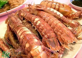 蝦爬子怎么分公母？蝦爬子公母區(qū)別