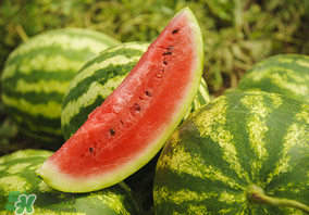 蝦爬子和西瓜一起吃嗎？吃完蝦爬子能吃西瓜嗎？