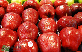 吃完皮皮蝦能吃蘋果嗎？皮皮蝦和蘋果能一起吃嗎？