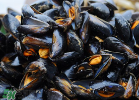 海虹里面的黑包能吃嗎？海虹里面的黑的能吃嗎？