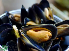 海虹里面的黑包能吃嗎？海虹里面的黑的能吃嗎？