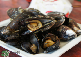 淡菜什么時候最肥？淡菜什么時候吃最好？