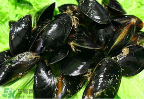 哪些人不適合吃淡菜？淡菜什么人不能吃？