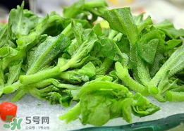 冰菜孕婦能吃嗎？孕婦能不能吃冰菜？
