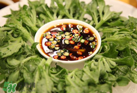 冰菜怎么涼拌？冰菜可以用沙拉醬拌嗎？