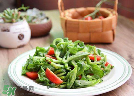 冰菜怎么涼拌？冰菜可以用沙拉醬拌嗎？