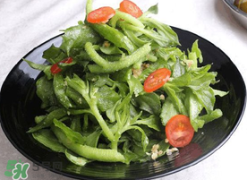 冰菜怎么涼拌？冰菜可以用沙拉醬拌嗎？