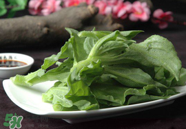 冰菜可以生吃嗎？冰菜能生吃嗎？