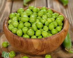 豌豆不能和什么一起吃？豌豆和什么不能一起吃？