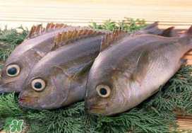 蠶豆和魚能一起吃嗎？蠶豆和魚吃相克嗎？