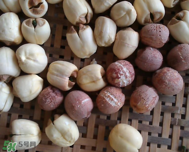 芡實(shí)不能和什么一起吃？芡實(shí)不能與什么同食？