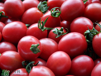 千禧果和圣女果的區(qū)別 千禧果和圣女果哪個(gè)好吃？