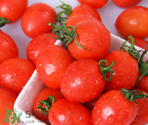 千禧果和圣女果的區(qū)別 千禧果和圣女果哪個(gè)好吃？