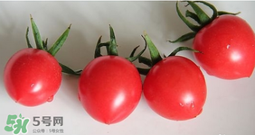 千禧果和圣女果的區(qū)別 千禧果和圣女果哪個(gè)好吃？