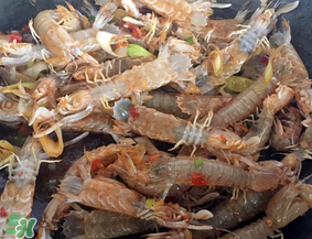 瀨尿蝦是皮皮蝦嗎？瀨尿蝦和皮皮蝦的區(qū)別