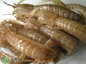 瀨尿蝦是皮皮蝦嗎？瀨尿蝦和皮皮蝦的區(qū)別