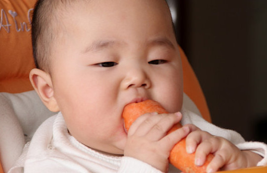 胡蘿卜與什么不能同食？胡蘿卜不能和什么一起吃