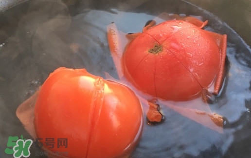 番茄怎么去皮？如何給番茄去皮