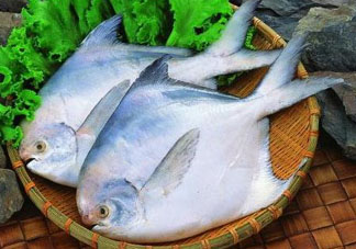 蠶豆和魚能一起吃嗎？蠶豆和魚吃相克嗎？