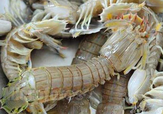 爬蝦哪些部位不能吃？爬哪里不能吃圖解？