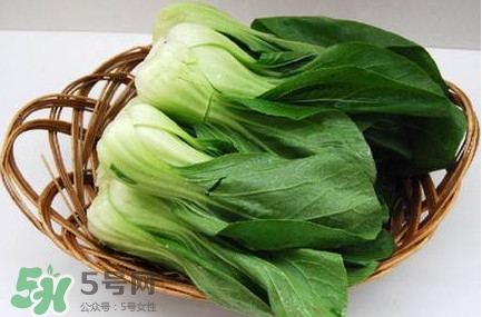 雞毛菜怎么種？雞毛菜的種植方法