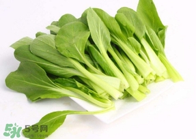 雞毛菜怎么種？雞毛菜的種植方法