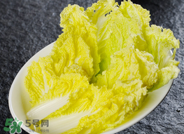 蠶豆和白菜能一起吃嗎？白菜和蠶豆能在一起吃嗎？