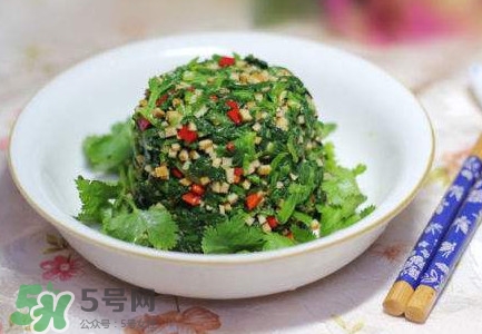 芹菜葉怎么吃？芹菜葉吃法