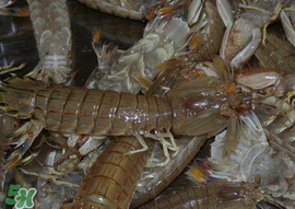 爬蝦哪些部位不能吃？爬哪里不能吃圖解？