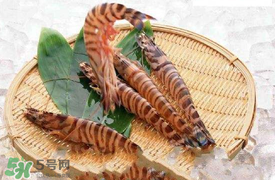 蝦爬子怎么扒皮？蝦爬子怎么剝殼？