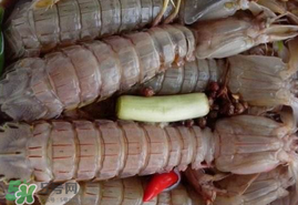 哺乳期能吃蝦爬子嗎？喂奶可以吃蝦爬子嗎？