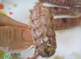 蝦爬吃多了怎么辦？蝦爬子吃多了什么反應(yīng)？