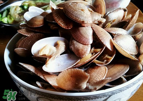 花甲冷水下鍋還是熱水？煮花甲用冷水還是熱水？