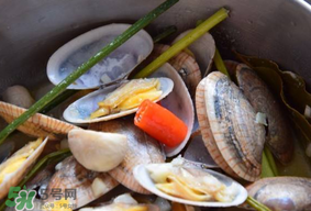 花甲冷水下鍋還是熱水？煮花甲用冷水還是熱水？