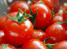 西紅柿和花甲能一起吃嗎？花甲能和西紅柿同吃嗎？