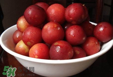 李子不能和什么一起吃？李子不能和什么同吃